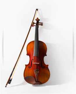 violino